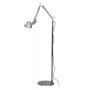      BLS 11278 Tolomeo micro