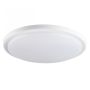    KANLUX ORTE LED 24W-NW-O (29161) ORTE